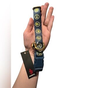 Dragonsteel cosmere dog collar, size M